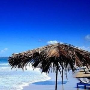 Meet your Posher, Brad